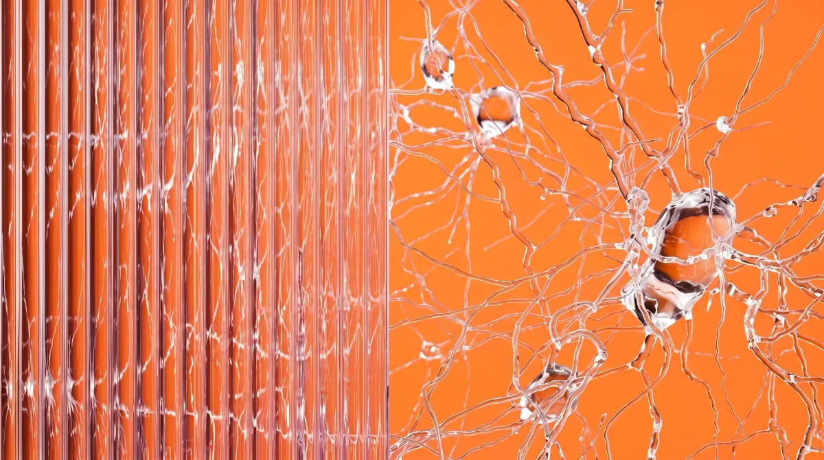 Gläsernes Nervengeflecht vor orangem Hintergrund, links durch Riffelglas in senkrechte Streifen zerlegt